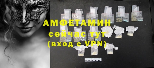 дурь Няндома