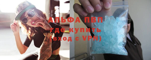 дурь Няндома