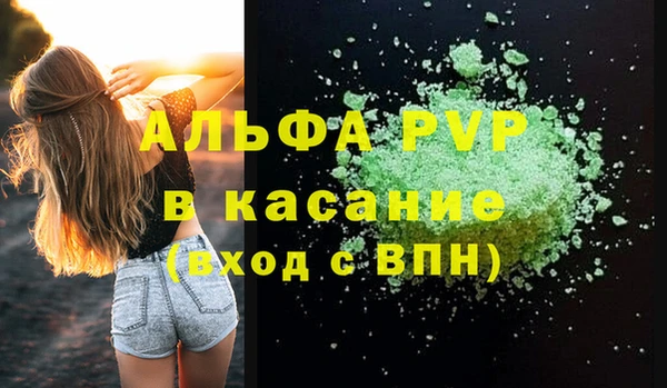 дурь Няндома