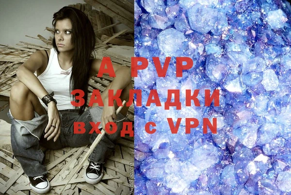 mdpv Новодвинск