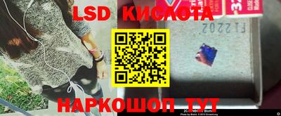 стаф Донецк