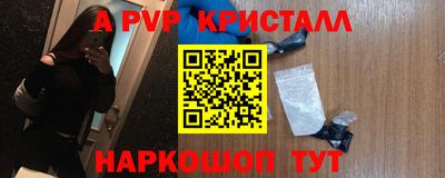 стаф Донецк