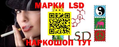 стаф Донецк