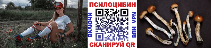 Псилоцибиновые грибы Psilocybine cubensis  наркота  Заводоуковск 