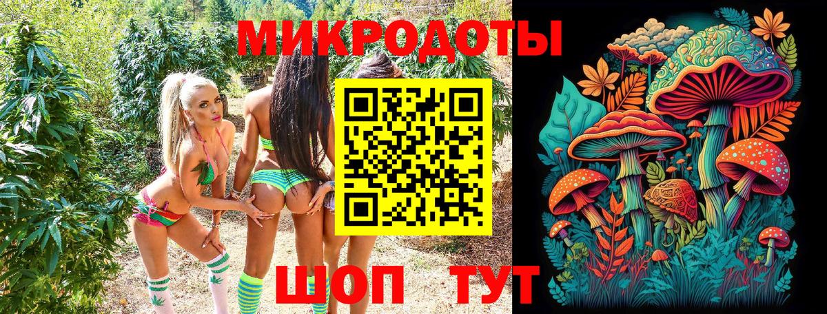 Галлюциногенные грибы GOLDEN TEACHER  Вход с VPN  купить наркоту  Заводоуковск  Псилоцибиновые грибы Psilocybe 