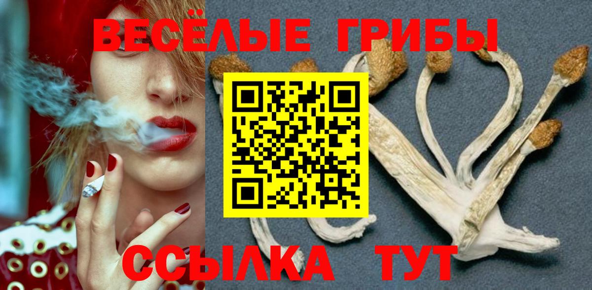 Бошки Шишки Заводоуковск