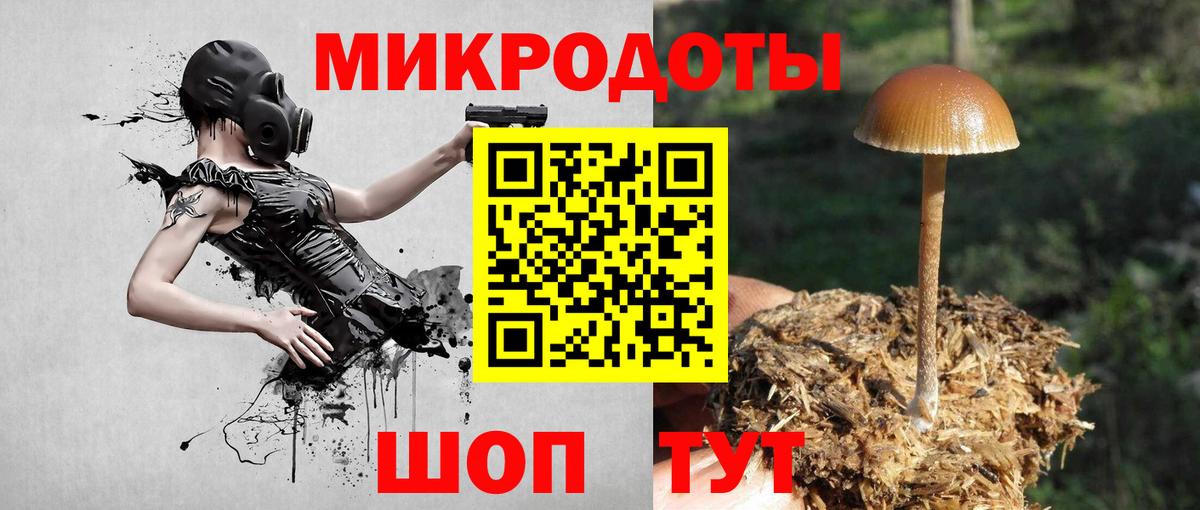 Псилоцибиновые грибы мухоморы Заводоуковск