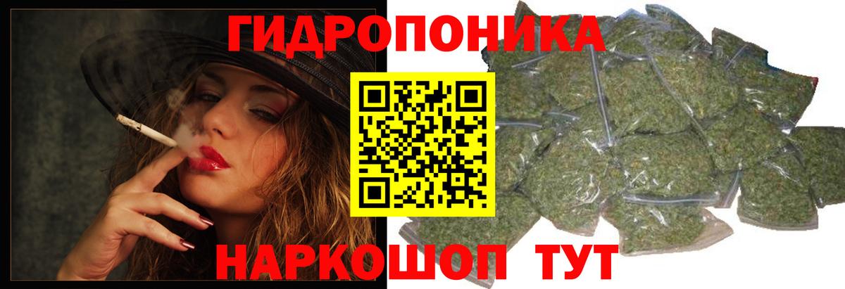 Марихуана сатива  Заводоуковск  МАРИХУАНА конопля  Канабис OG Kush 